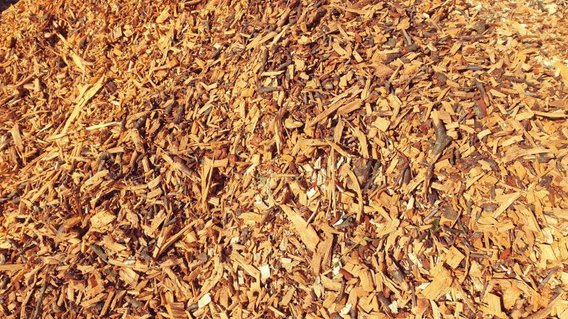 Wood Chips Delivery